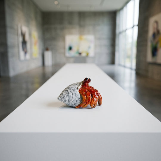 Hermy, bronze hermit crab