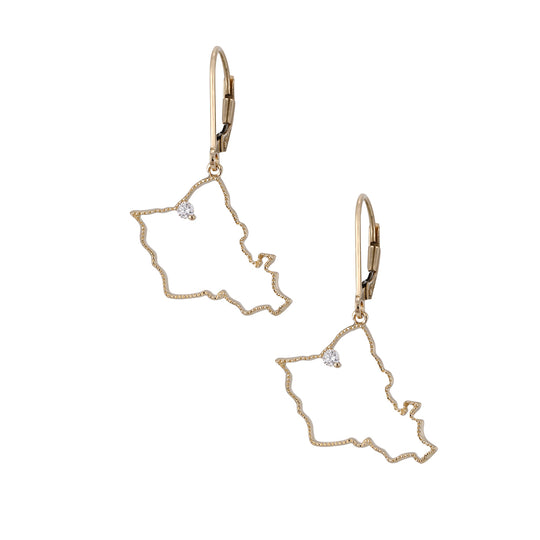 14ky "Oahu" Earrings with Dangle Leverbacks, w/2 diamonds .06ct (At Haleiwa)