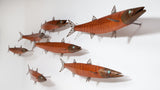 Barracuda School
