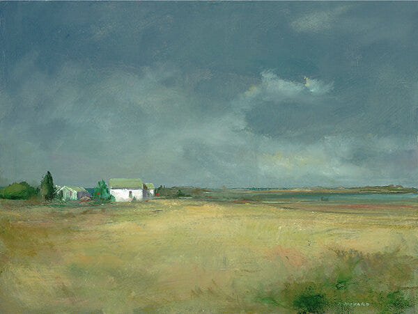 Dolphin Galleries Anne Packard Beach Point