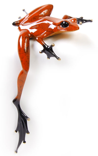 Frogman - Tim Cotterill | Hung Over