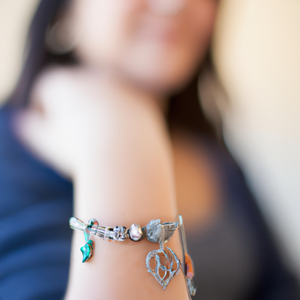 Introduction to Brighton Hawaii Charm Bracelets