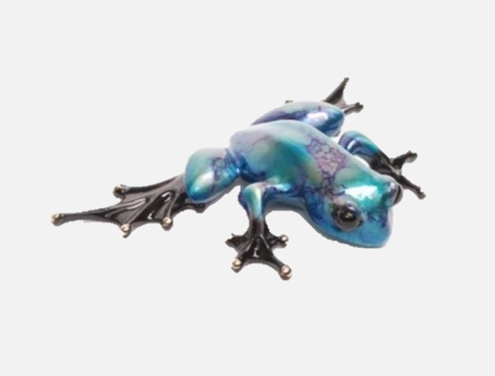 Frogman Tim Cotterill