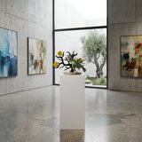 Bermuda — gallery view