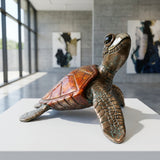 Honu — detail close-up