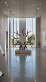 Tolla Inbar - Circle of Life, shown at true scale
