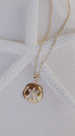 Radiant Sand Dollar Pendant Necklace