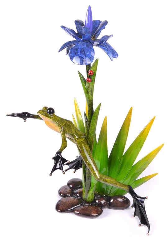 Frogman Tim Cotterill | Buy Bronze Frogs | Dolphin Galleries