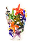 Clúster de estrellas de mar multicolor IV