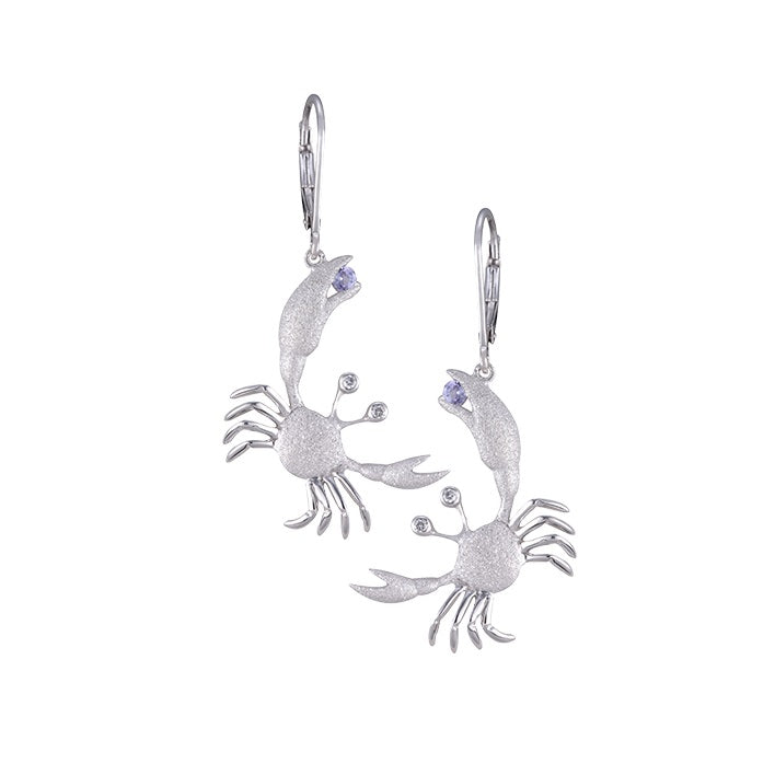 PRECIOUS SILVER 22MM CRAB LEVERBACK EARRINGS