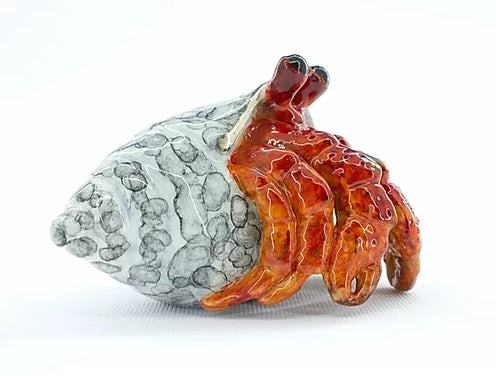 Hermy, bronze hermit crab