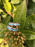 Koa and Turquoise Titanium Ring Band