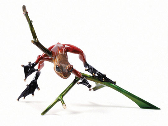 Salir en una extremidad