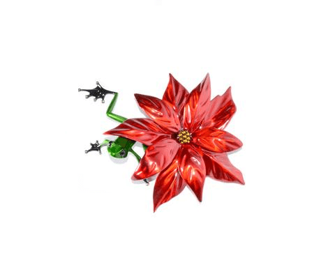 Poinsettia