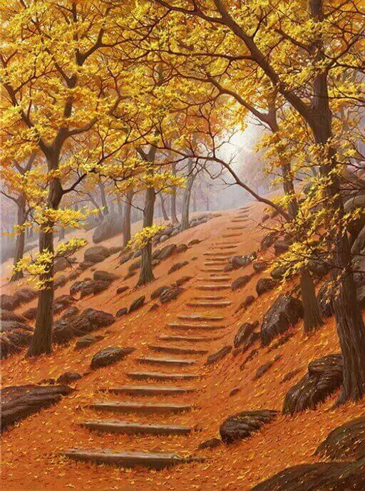 Tiime de la temporada