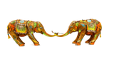 Twins Nano Lopez Dolphin Galleries