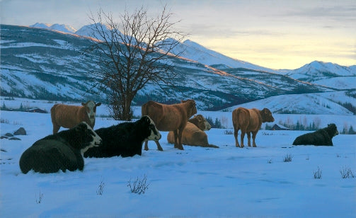 Centinelas de invierno