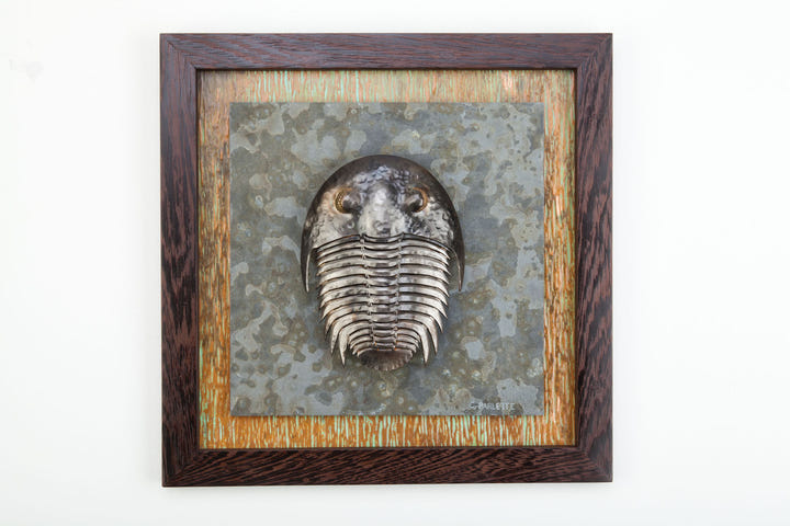 Trilobite