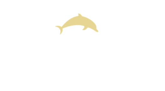 Dolphin Galleries